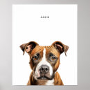 Search for pit bull terrier posters Cute