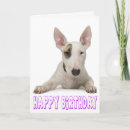 Recherche de bull terrier anniversaire cartes Chiot