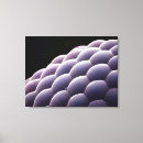 Search for compound art Invertebrate