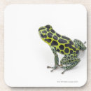 Search for dart coasters Scales
