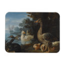 Recherche de lapin magnets Oiseaux