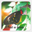 Search for butterfly on black stickers Animal