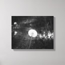 Search for black dandelion canvas prints Wild flowers