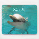 Search for dolphin picture electronics Ocean