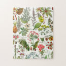 Search for vegetable puzzles Farm