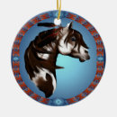 Search for paint horse ornaments Feathers