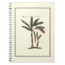 Search for tree notebooks Palm trees