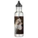 Recherche de animal gourdes Image