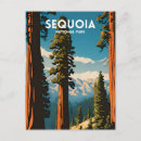 Search for redwood national park postcards Camping