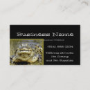 Search for alligator business cards Animals