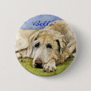 Search for hunting buttons Pets