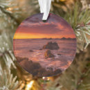 Search for carmel california ornaments Pacific ocean
