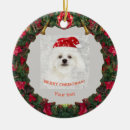 Search for maltese dog ornaments Puppy