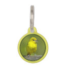 Search for oriole Bird