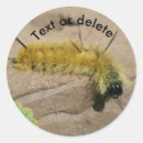 Search for moths stickers Bug