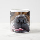 Search for english bulldog mugs Animals