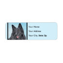 Recherche de sheepdogs return address labels Animal
