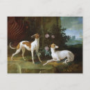 Recherche de levrier cartes postales Greyhound
