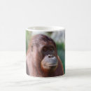 Search for ap drinkware Cool
