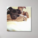 Search for looking down canvas prints Indoors