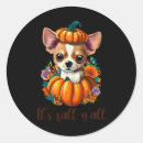 Search for hallo stickers Dog