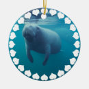 Search for manatee ornaments Animal