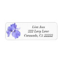 Search for iris return address labels Drawing