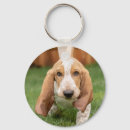 Recherche de basset hound porteclés Chien