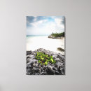 Search for tulum canvas prints Beach