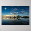 Search for amazon rainforest posters Nature