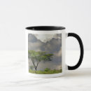 Search for acacia mugs Scenic