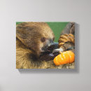 Search for sloth image art Sloths
