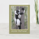Search for lemur cards Nature