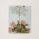 Recherche de plats puzzles Botanique