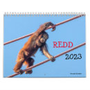 Search for orangutan calendars Wildlife