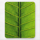 Recherche de sain tapis souris Vert