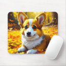 Recherche de chien corgi tapis souris Chiot