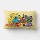 Search for bert and ernie pillows Cookie monster