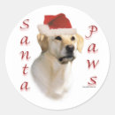Search for yellow labrador stickers Animals
