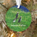 Search for puffin ornaments Nature