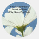 Search for business address stickers White