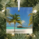 Search for tropical island ornaments Palm tree