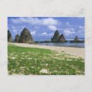 Search for okinawa postcards Sea