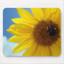 Search for sun shine electronics Sunflower