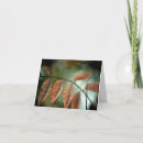 Search for spiritual condolences cards Death