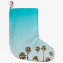 Recherche de palmier chaussette de noël Sauvage