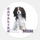 Search for cavalier stickers Cavie