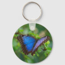 Search for morpho keychains Blue