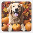 Search for cute fall stickers Fun