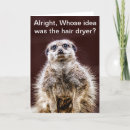 Search for meerkat birthday cards Humour
